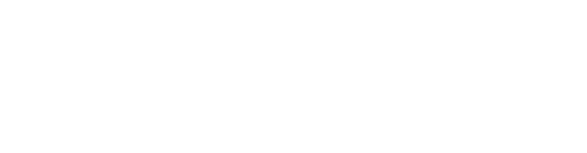 Persona